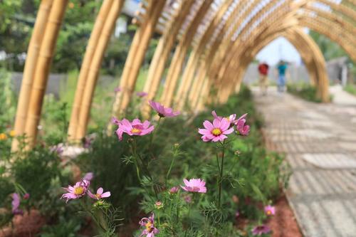 京張鐵路遺址公園設計方案出爐