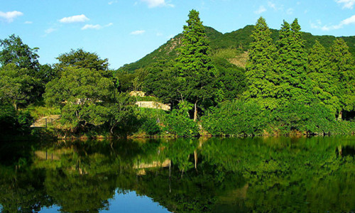 林業(yè)上“云” 生態(tài)保護有“數(shù)”——數(shù)字技術守護綠水青山一線見聞