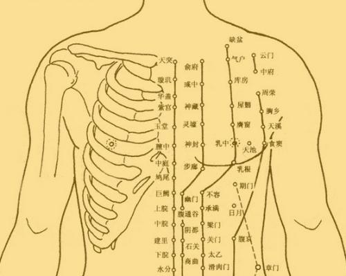 人體是否有“穴位”存在？