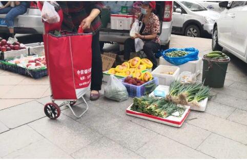 黑龍江：出臺優(yōu)化城市管理十二條措施扶持“地攤經(jīng)濟(jì)”