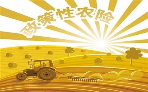 2022年我國(guó)農(nóng)業(yè)保險(xiǎn)為1.67億戶次農(nóng)戶提供風(fēng)險(xiǎn)保障5.46萬億元