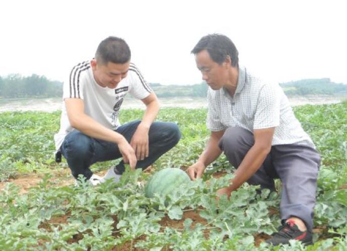 河南省南召縣退役軍人朱元 廣闊天地里寫青春