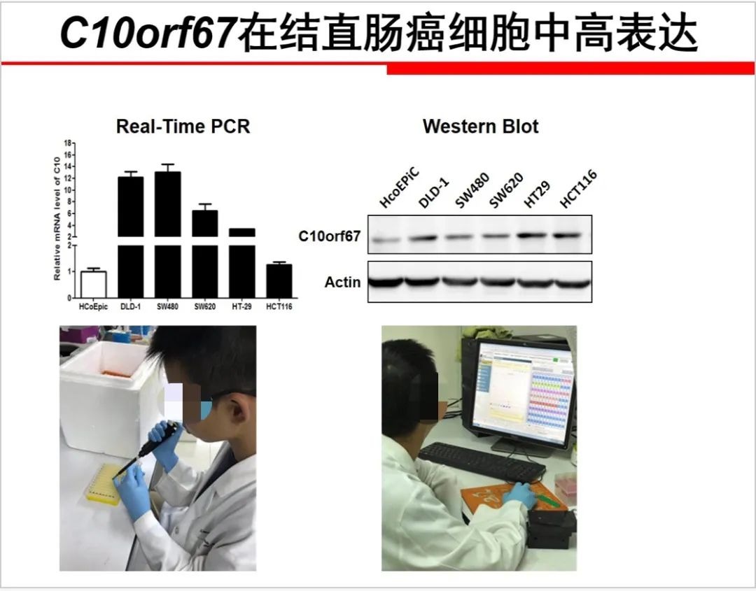 昆明一小學生研究癌癥論文一等獎被撤銷