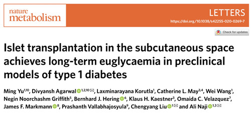自然子刊：新的胰島細胞皮下移植方法或改善1型糖尿病治療