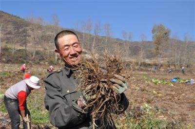 截至6月底脫貧人口務(wù)工規(guī)模超年度目標(biāo)近240萬(wàn)人