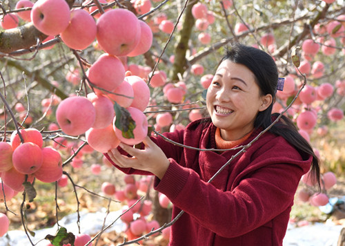 全國勞模牛慶花：電商玫瑰“燃”紅扶貧路