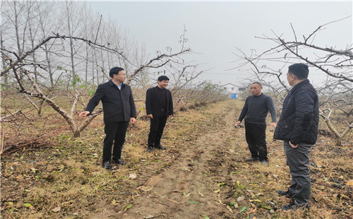 市派周營服務(wù)隊指導(dǎo)金蟬養(yǎng)殖及宣傳防治生物危害工作實景_副本1.jpg