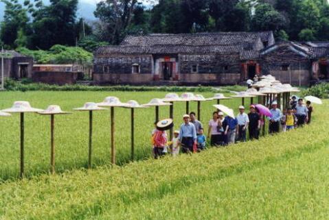 打造精品鄉(xiāng)村休閑旅游