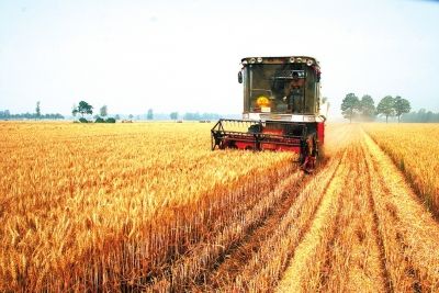 各地區(qū)各部門始終把保障國(guó)家糧食安全擺在首位 著力提高糧食綜合生產(chǎn)能力