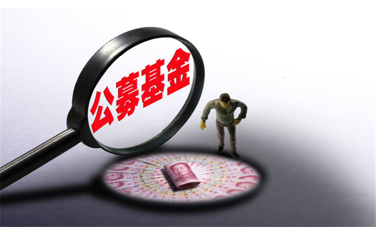 公募基金引領(lǐng)風(fēng)向 A股專(zhuān)業(yè)投資駛?cè)氚l(fā)展快車(chē)道