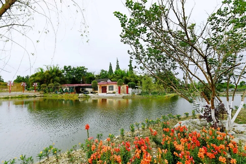 火花村：文旅搞上去，會(huì)有“火樹銀花”