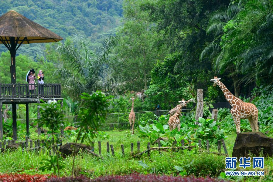 馬來西亞國家動物園重新開放