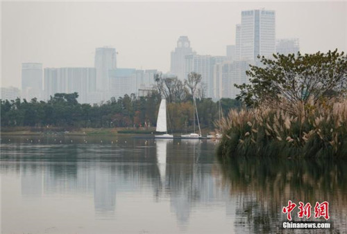 生態(tài)環(huán)境部：到2025年初步建立全國(guó)生態(tài)監(jiān)測(cè)網(wǎng)絡(luò)