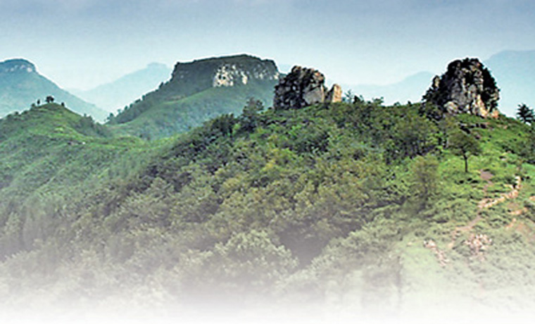 沂蒙山 再多一分綠