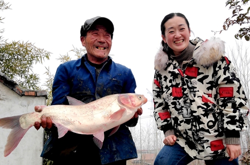 過大年，郯城坊前村分魚嘍！