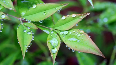 晴好天氣“余額不足” 雨水降溫23日起抵達(dá)安徽