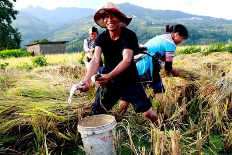 實(shí)現(xiàn)大規(guī)模減貧經(jīng)驗(yàn)值得借鑒！中國(guó)對(duì)世界減貧的貢獻(xiàn)率超70%