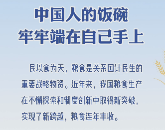 糧食安全：中國人的飯碗牢牢端在自己手上