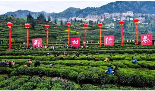 湖北宜昌：鄉(xiāng)村休閑旅游撬動“美麗經(jīng)濟”