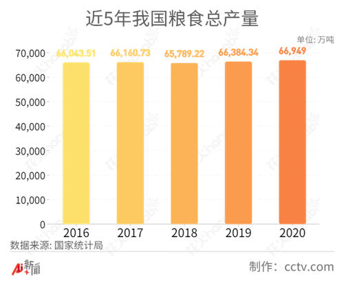 國際糧價大漲，中國人的“飯碗”會受影響嗎？