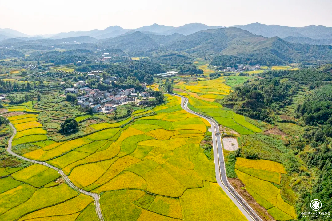 30余年情懷依舊，金龍魚用優(yōu)質(zhì)產(chǎn)品為國民健康保駕護航