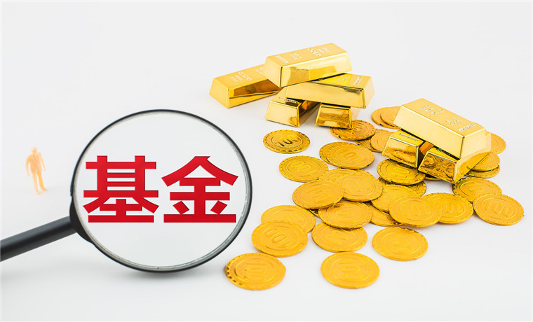 “固收+”基金布局加速年內(nèi)新產(chǎn)品占比超兩成