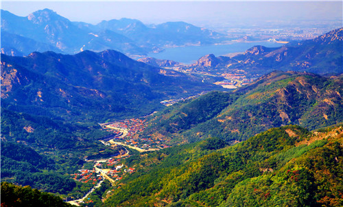 田園融入城市，城市共享田園 青島城陽(yáng)聚力繪就多彩鄉(xiāng)村振興畫(huà)卷