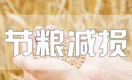 糧食豐收后，如何再增產(chǎn)？節(jié)糧減損可再造“無形良田”