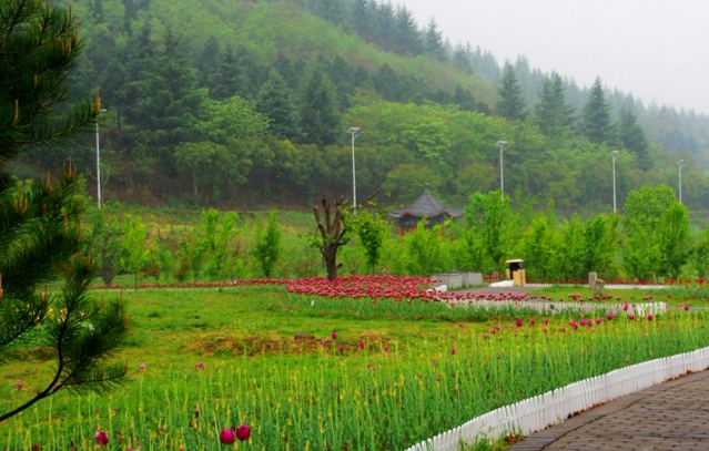 國家植物園 讓保護(hù)體系更完整