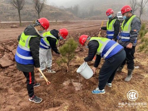  山西省董榆線項目開展春風(fēng)十里，正“植”有我活動