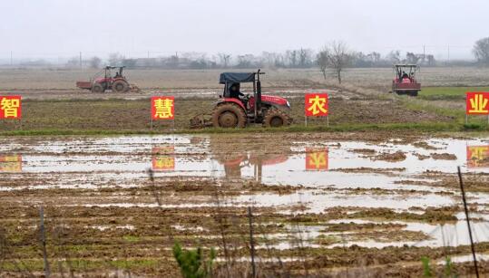 開展苗情調(diào)查、技術(shù)咨詢、巡回服務(wù)——農(nóng)技人員云上田間助春耕