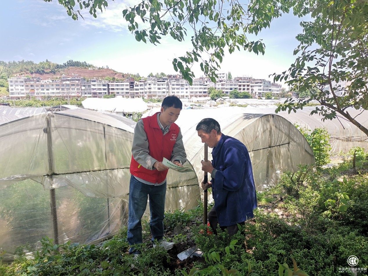  浙江泰順煙草：發(fā)揮“香溢”志愿服務“三力” 推動農村普法“走心”