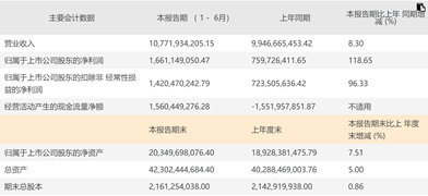 杉杉股份上半年凈利潤增長1.2倍 兩大業(yè)務將迎高速發(fā)展