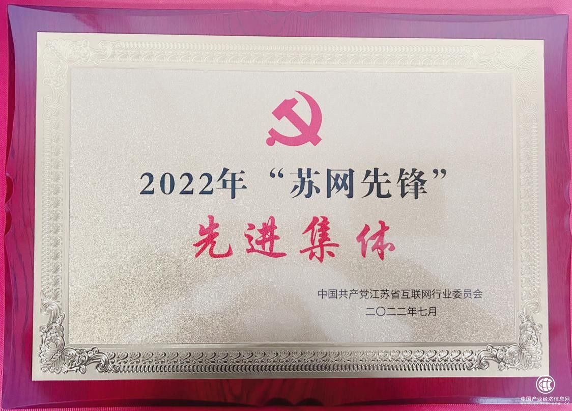 華云數(shù)據(jù)黨支部榮獲2022年“蘇網(wǎng)先鋒”先進集體