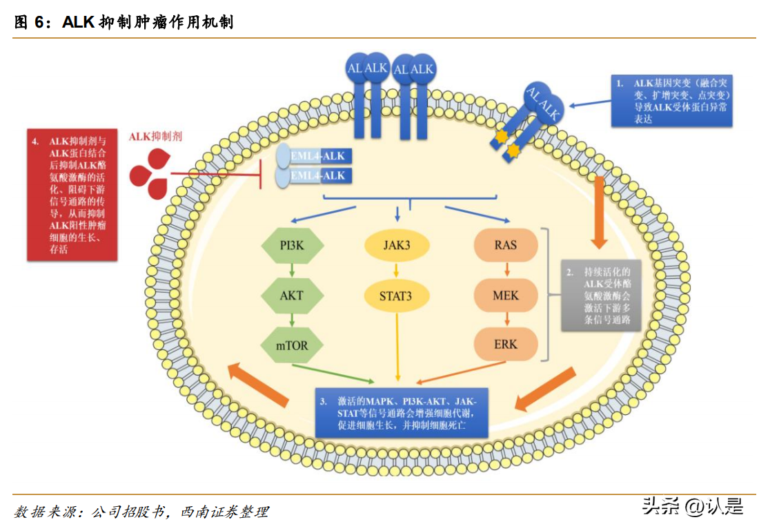 研究報(bào)告：這些新藥有望成為國(guó)內(nèi)“首款”