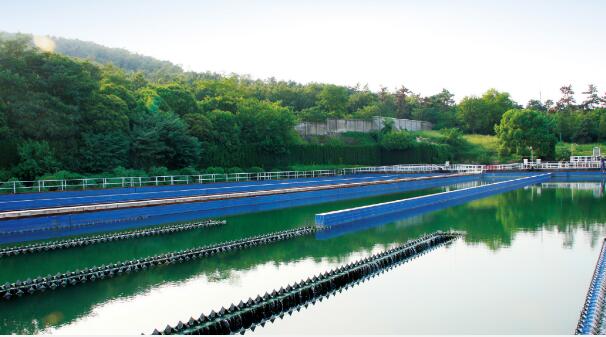 中國節(jié)能創(chuàng)新治水模式 探索“水之道”