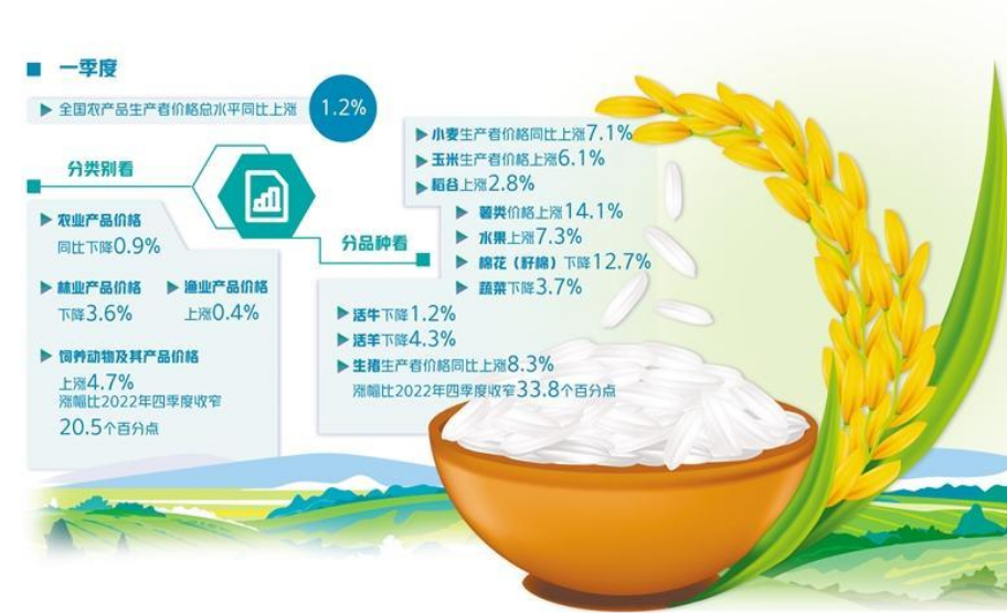 全球大米將現(xiàn)20年來最大缺口 對國內(nèi)市場影響幾何？