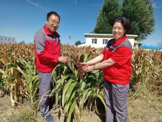 曹坤（左）深入原料基地調(diào)研（資料片）.jpg