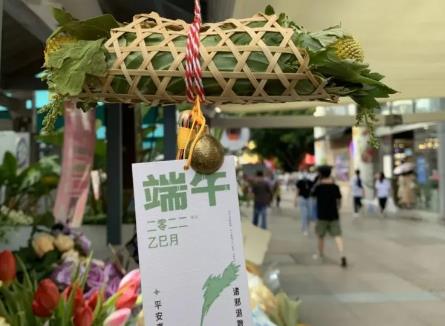 端午將至 艾草、香樟等契合節(jié)日氛圍的花卉走俏市場(chǎng)