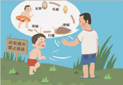 加快血吸蟲病消除進(jìn)程怎么干？看國家疾控局劃重點(diǎn)