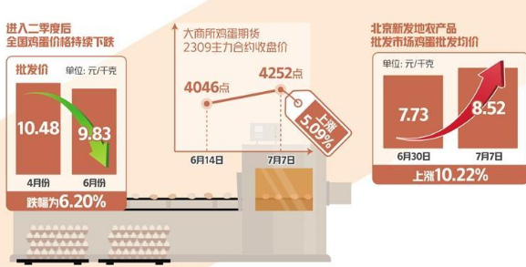 蛋價持續(xù)下跌后快速反彈 三季度雞蛋消費有望提振