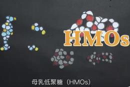 《母乳低聚糖（HMOs）的科學(xué)共識》發(fā)布 邁出產(chǎn)業(yè)化重要一步