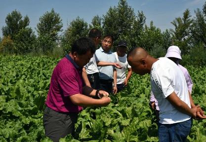 給中國糖料作物發(fā)展添磚加瓦——FAO“糖料作物生態(tài)安全種植和資源循環(huán)利用”技術合作項目回顧