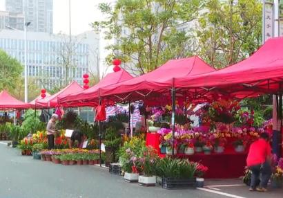 “花樣經(jīng)濟(jì)”消費(fèi)熱度不減 “鮮花軌跡”縱跨南北扮靚中國年