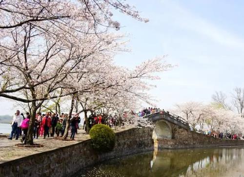 多地花香陣陣游人醉 全國“春日經(jīng)濟(jì)”熱力足