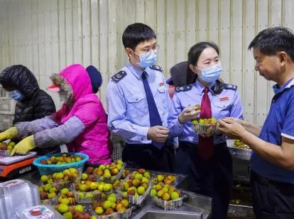 稅惠添力 廣東外貿(mào)“成績單”成色更足