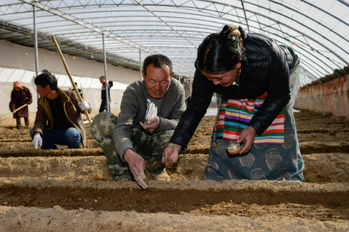 西藏新修訂的農牧民享受財政補助優(yōu)惠政策明白卡將發(fā)布