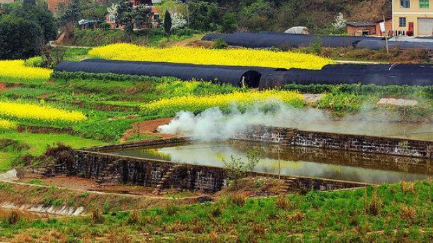 廣西力爭5年實現(xiàn)地籍“一張圖”全覆蓋