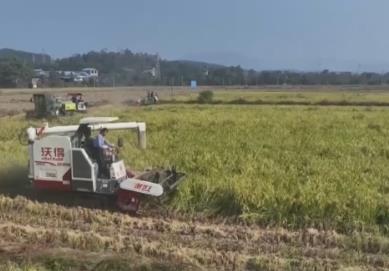 魚滿塘、糧滿倉、播種忙 希望的田野“豐”景不斷 映照農(nóng)民紅火好日子