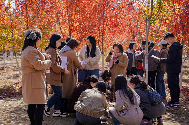 這場紅楓下的活動，有新意更有“心意”